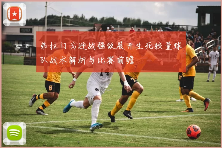 弗拉门戈迎战强敌展开生死较量球队战术解析与比赛前瞻