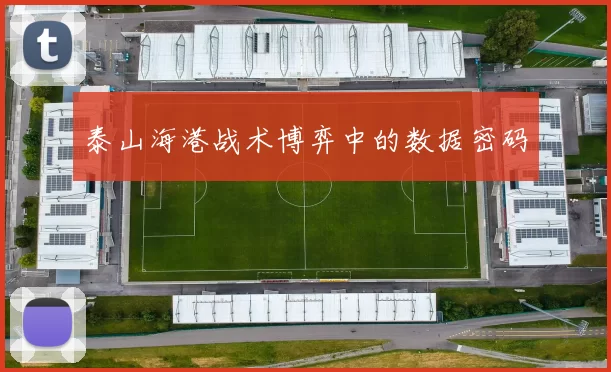 泰山海港战术博弈中的数据密码