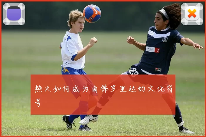 热火如何成为南佛罗里达的文化符号