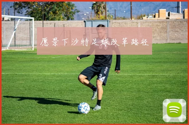 愿景下沙特足球改革路径