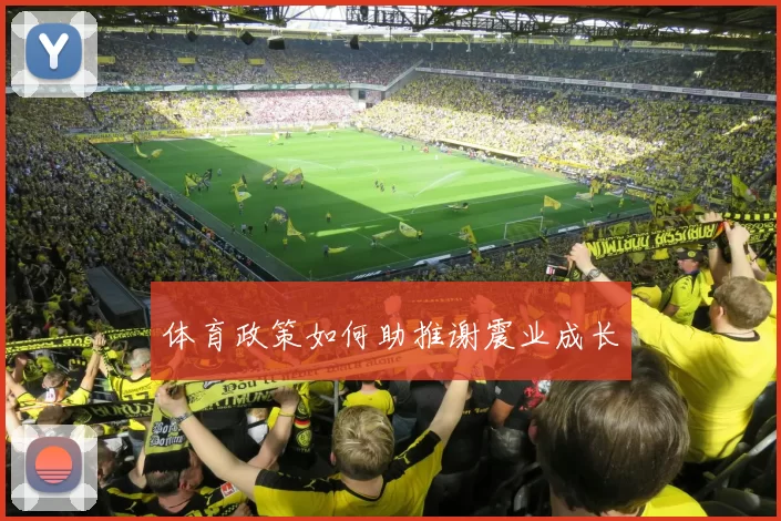 体育政策如何助推谢震业成长
