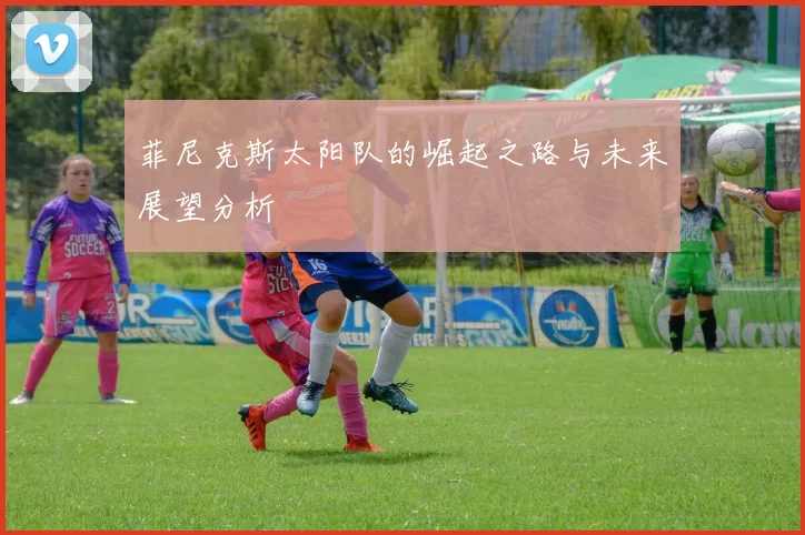 菲尼克斯太阳队的崛起之路与未来展望分析