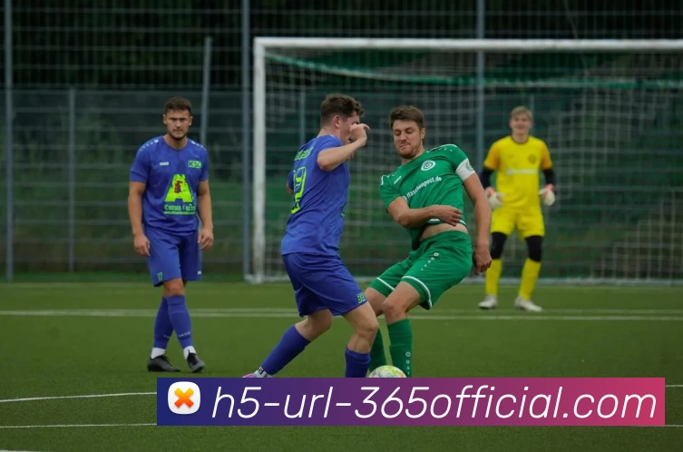 beat365首页平台生态图